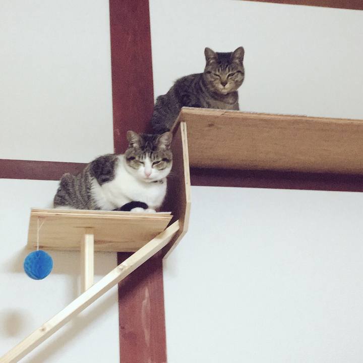 30ad1991 b63a 4430 90e9 c794154c52eb