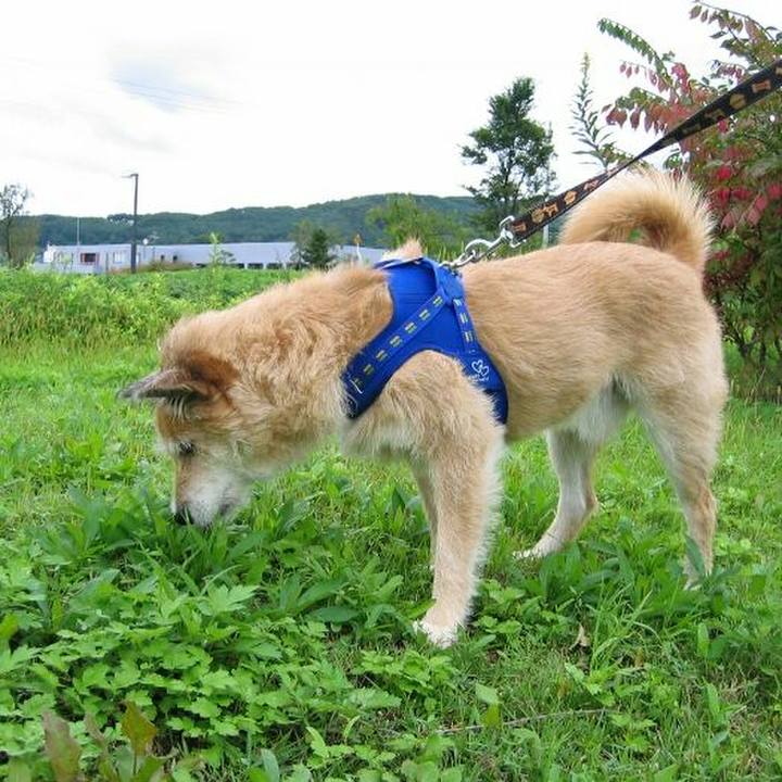 30ad744f 499e 4629 8db2 7e429a984a38