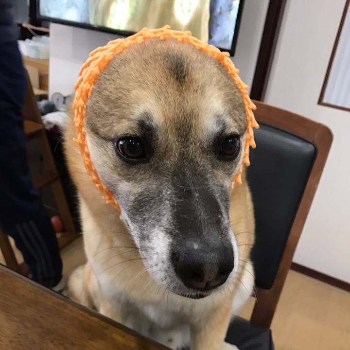 30ae4e13 0612 4c96 84ca 1fc7dc226913