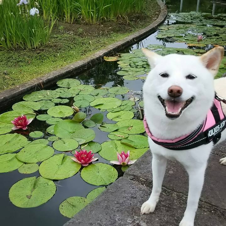 30afdec7 8a70 46a7 a768 f9c51fad6c40