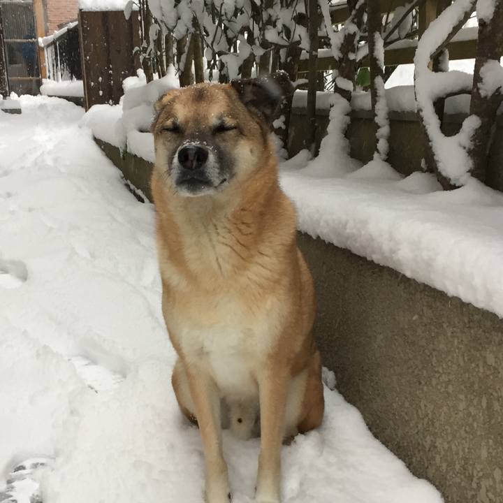 30b02c53 d40a 4edb a35f d0c877830efa