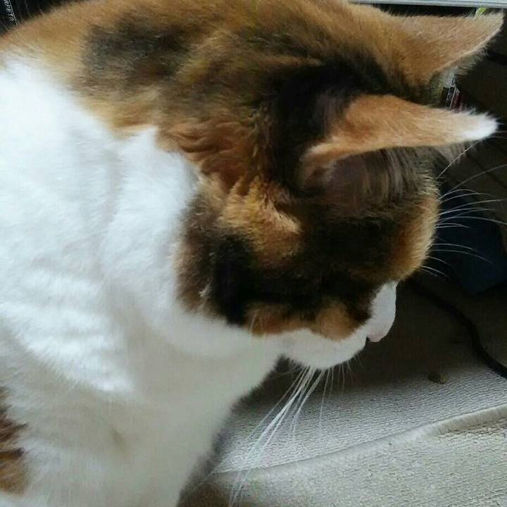 30b069b9 cb77 40ef 8e34 107c620962ca