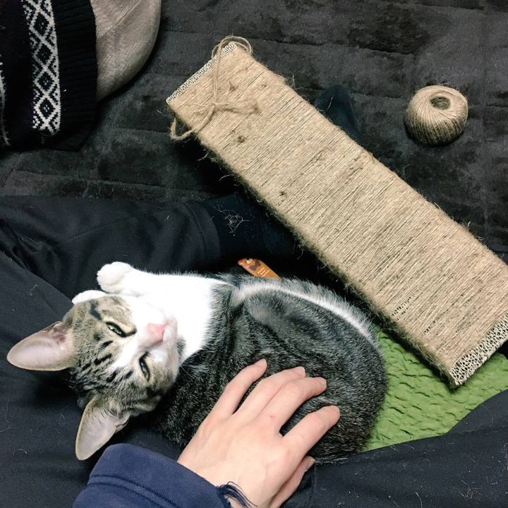 30b0bf09 e88e 414e 9eb0 cd0416c1008b