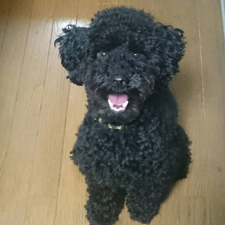 30b1270a c44b 440b a2eb 27f91f82323d