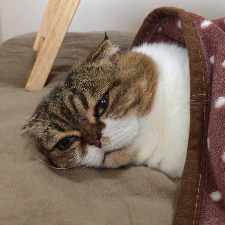 30b18217 383d 41bf af2b f08a17afc84e