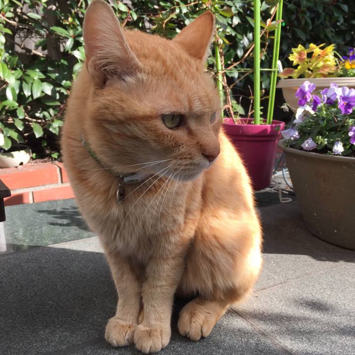 30b18c8f 8b4e 4ede 9117 fa9985150d7c