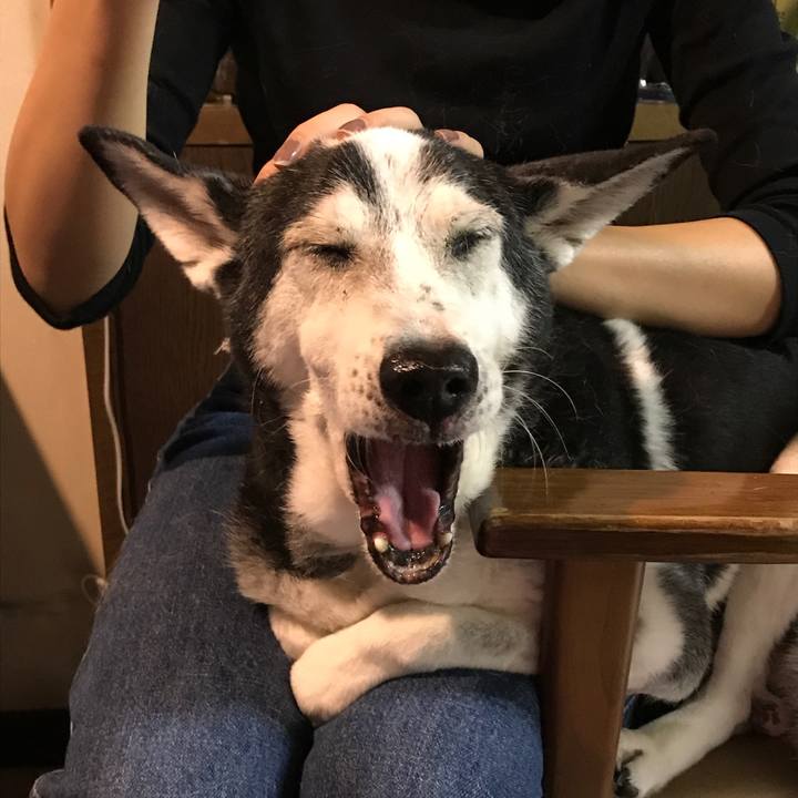 30b1bf28 b91e 4533 a7d3 627ccb344ef5