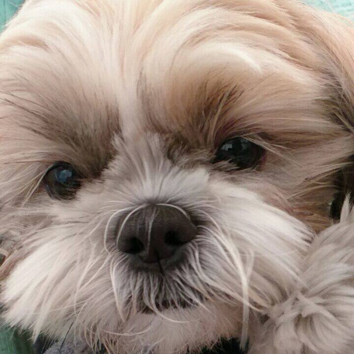 30b2941d 855d 417f 8e81 8a024083417a