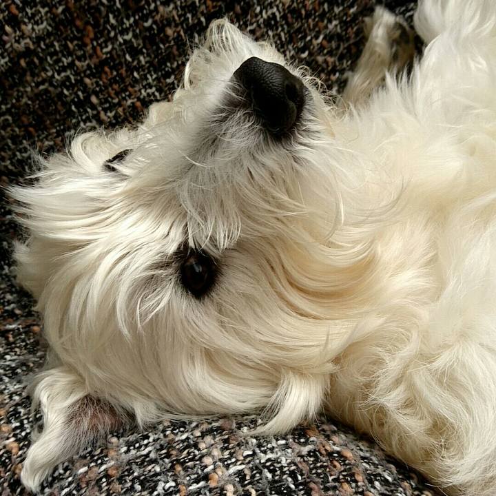 30b2ceac 0fa1 4ae2 a108 80ddaf7fa932