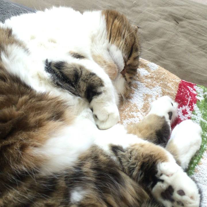 30b30022 50e5 48d3 a75f 67356ac4bc7f