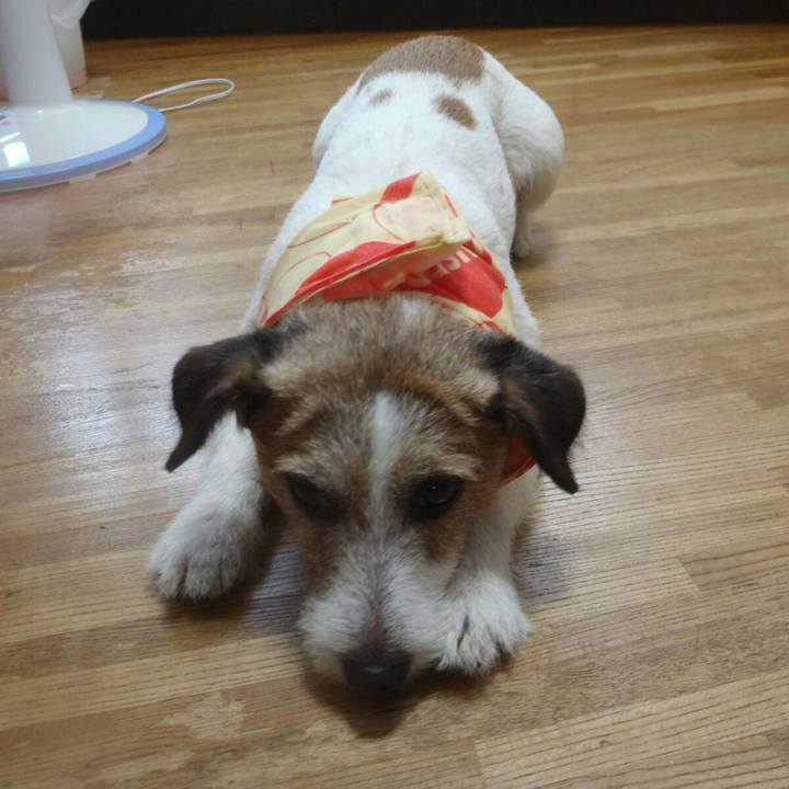 30b306e2 59d8 4c12 95cc aeed386a42be