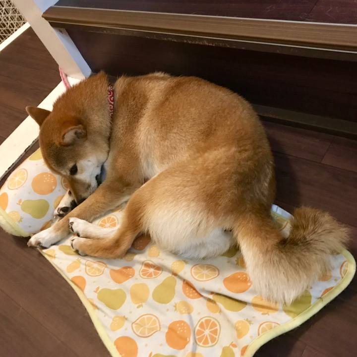 30b35e30 7478 4696 b916 a4ebbca191a1