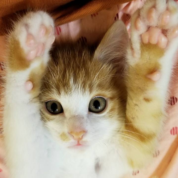 30b36577 8584 4183 ab0c a13a24c1c74b