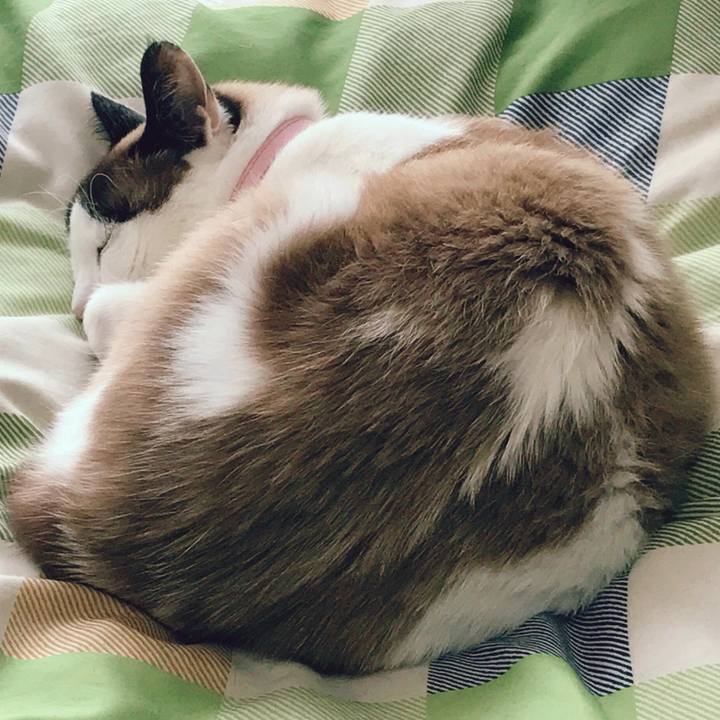 30b389e7 2ae2 4691 ae80 b4120c5d7479