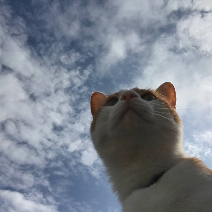 30b438dc f674 431a 9327 820195bd0cae