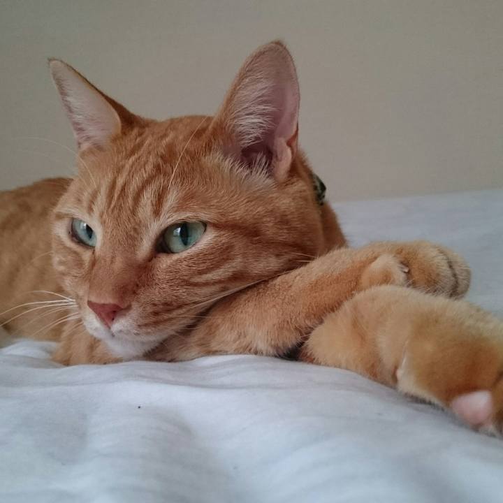 30b45c4f fe73 4c7d b921 7162f3cef53a