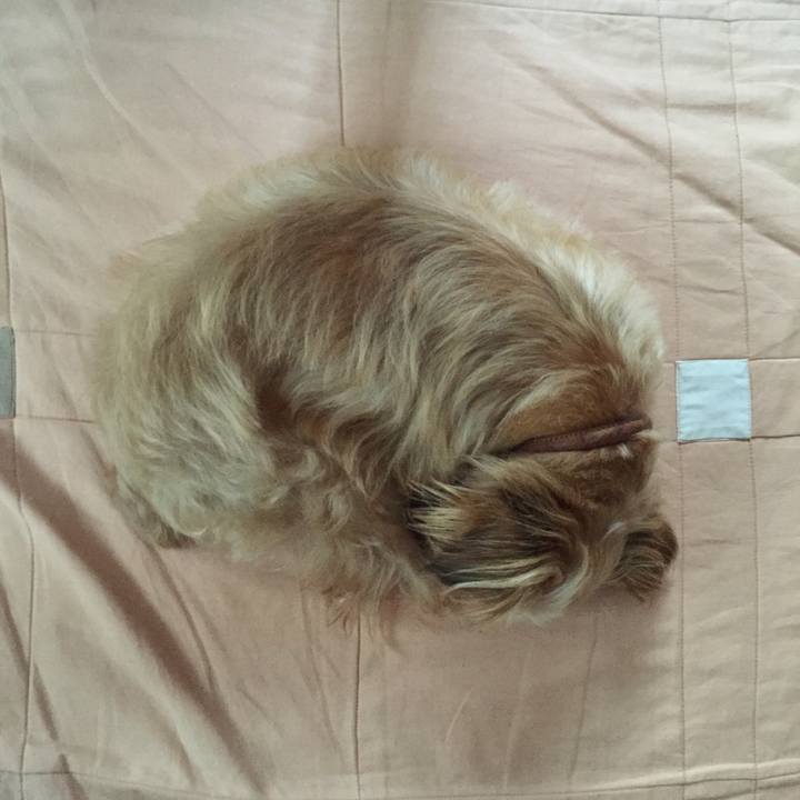 30b45d56 4782 45b4 81f1 8c0e2b2e46a1