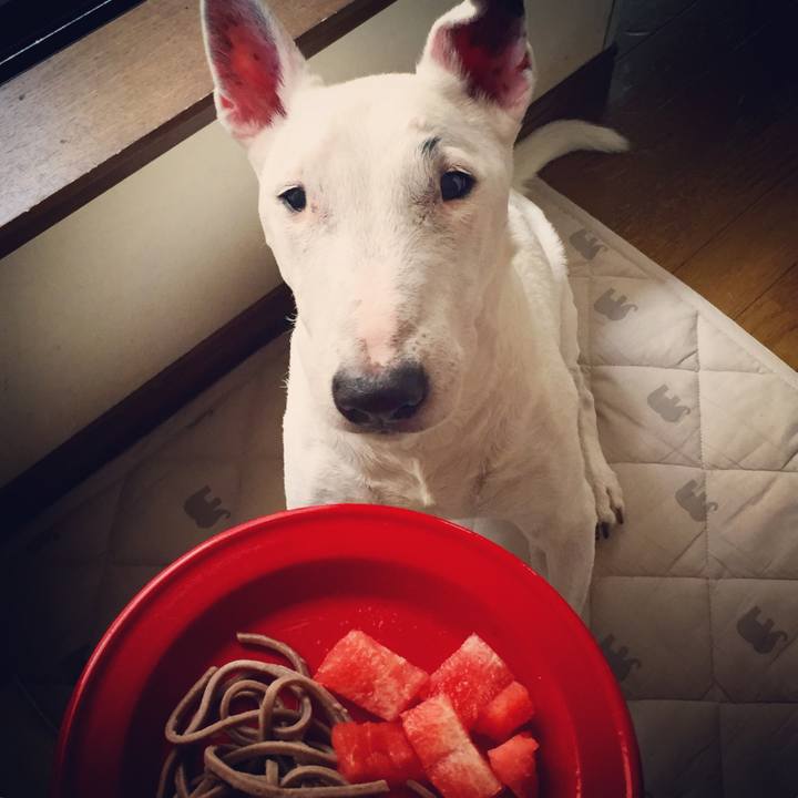 30b47205 eb90 4b0d 9170 054e5c7e8ad3