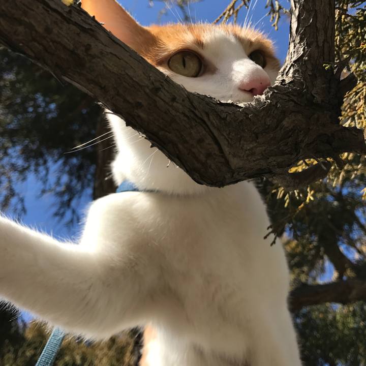 30b48084 a8ca 43e9 a10c 5a4f4e13eb4c