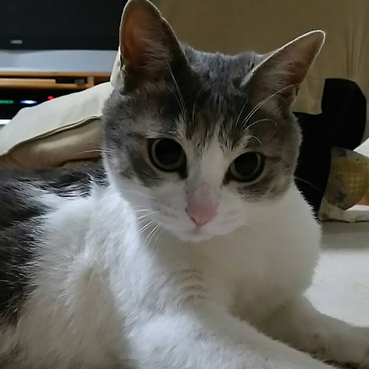 30b4a3ab 0368 4663 9d39 00b88ef0cd47