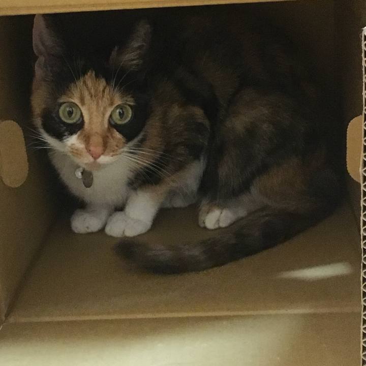 30b4af72 174d 4a59 aba6 5b3151f20c83