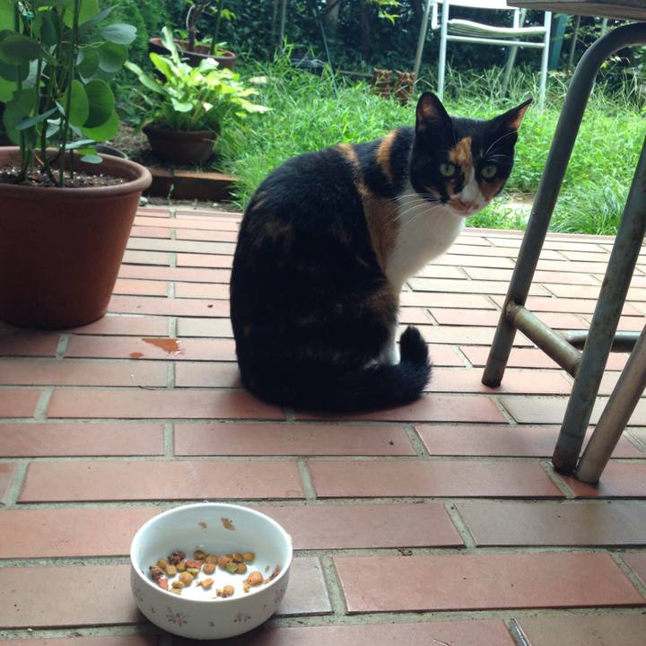 30b5839b 7080 43b2 875d 4157821ade2c