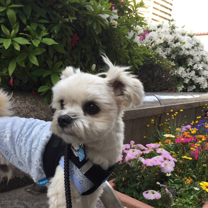 30b6dba3 7e3f 4164 a283 8259becba2f5