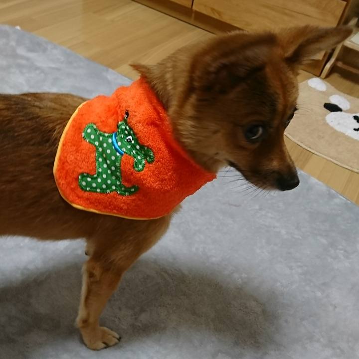 30b6e4db a545 452e a622 90d11d34b190