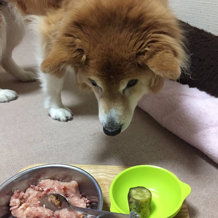 30b719a9 1112 45a3 8b3d 45c312429089