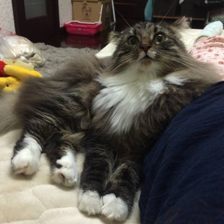 30b75b4a ebd4 40b3 8ac3 b63468570c8a