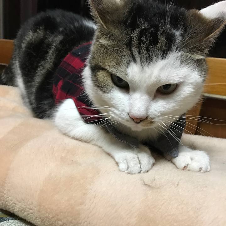 30b76a79 3e75 462d 8a81 050b182ed550