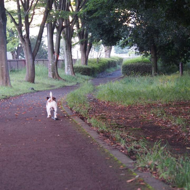 30b7b06d 6055 4422 830e 872a78718224