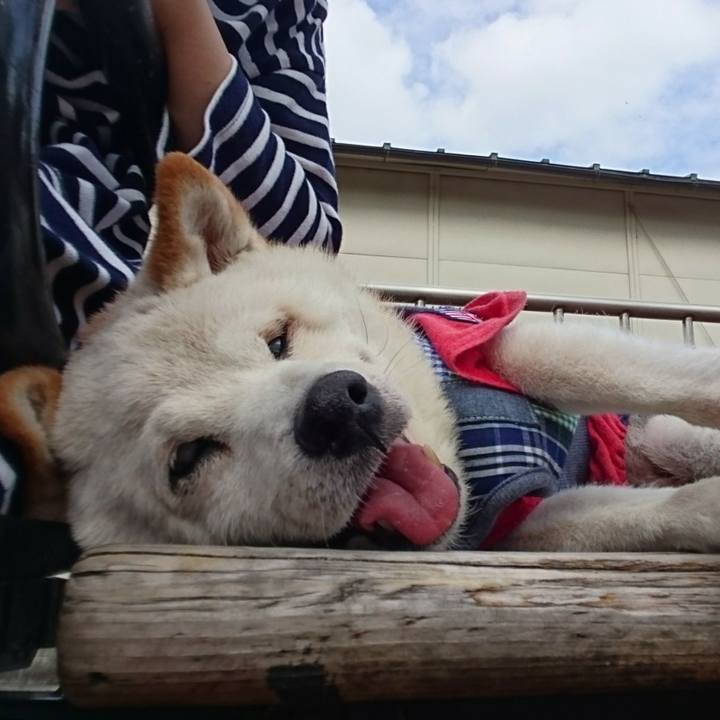 30b7c676 cd5b 47be 9cf2 aaab6d325697