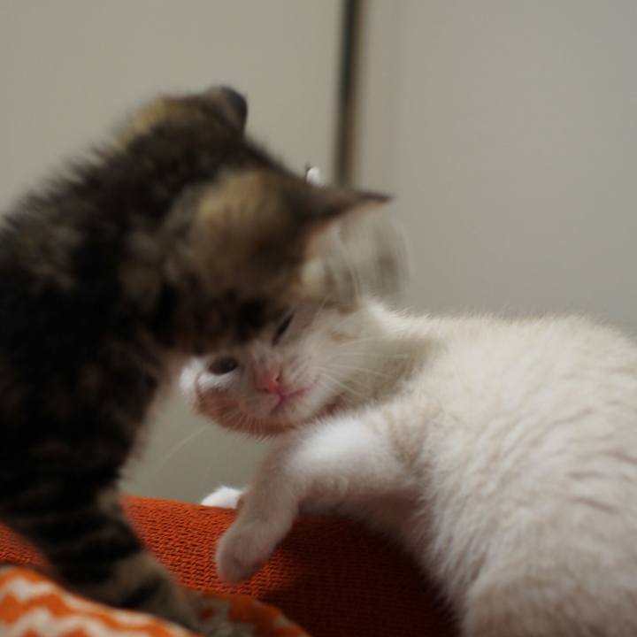 30b809d1 4d5a 4688 b21c e1812c17e64a