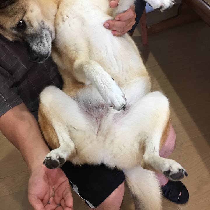 30b9e67c b3aa 45ad a033 13328b79d8c7