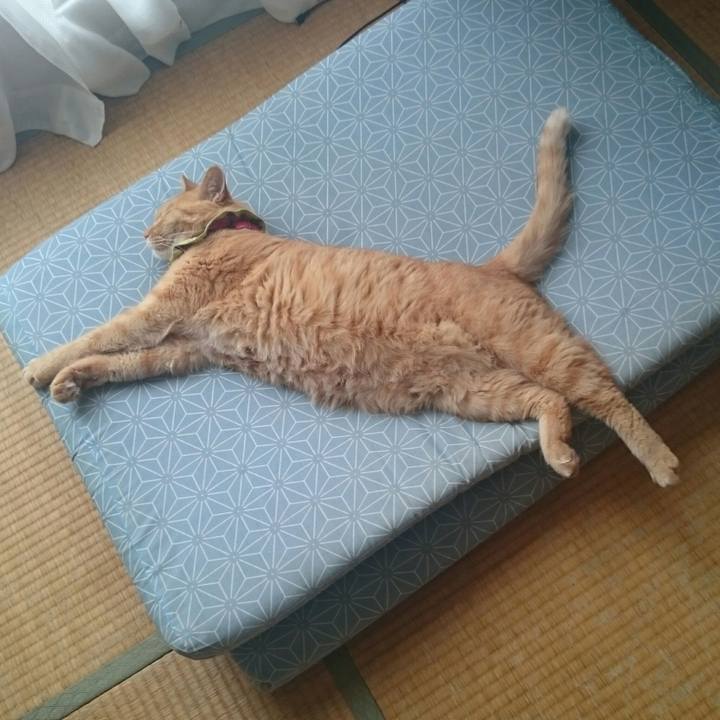 30bb29c5 9271 4d04 abf9 1903bc1332c1