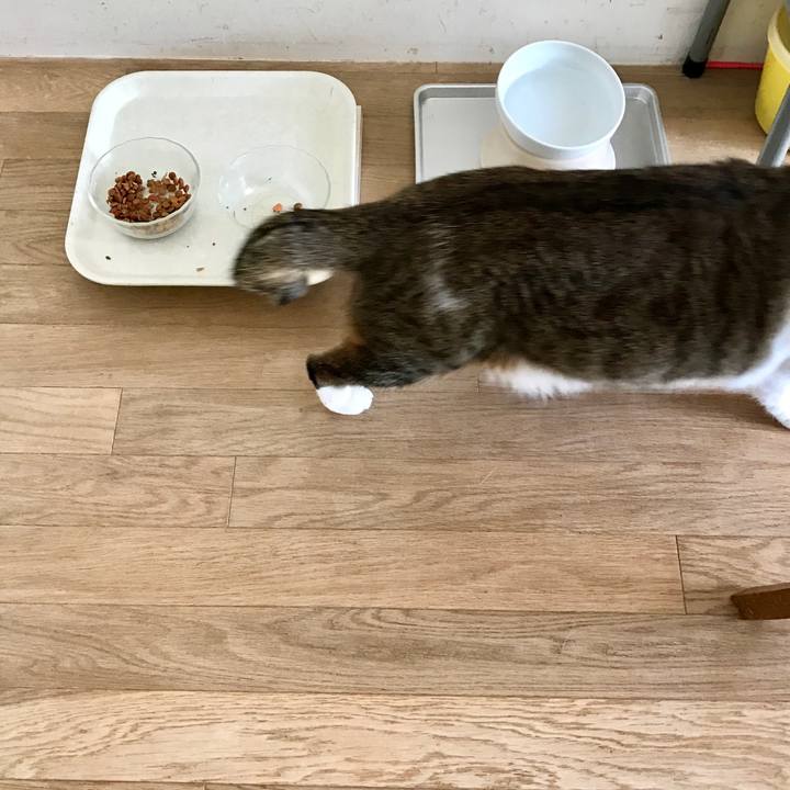 30bbb3a2 06ed 4545 ab41 49d01b70c48a