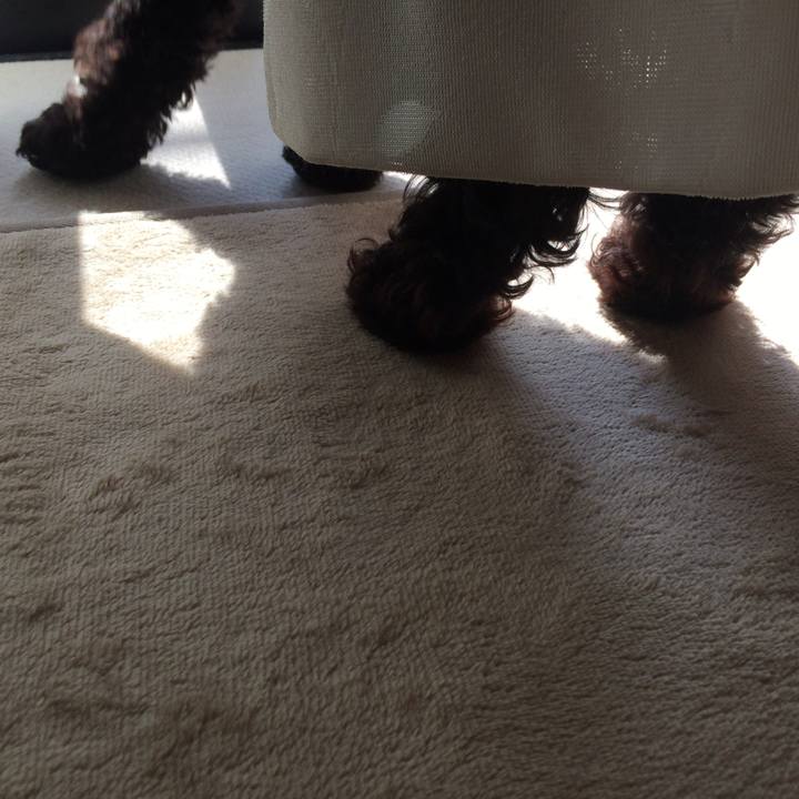 30bc2584 07da 4c6f 8562 837cf99eb92f