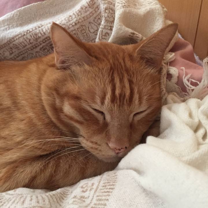 30bc2d5e 016b 49d6 9137 60983a24d3dc