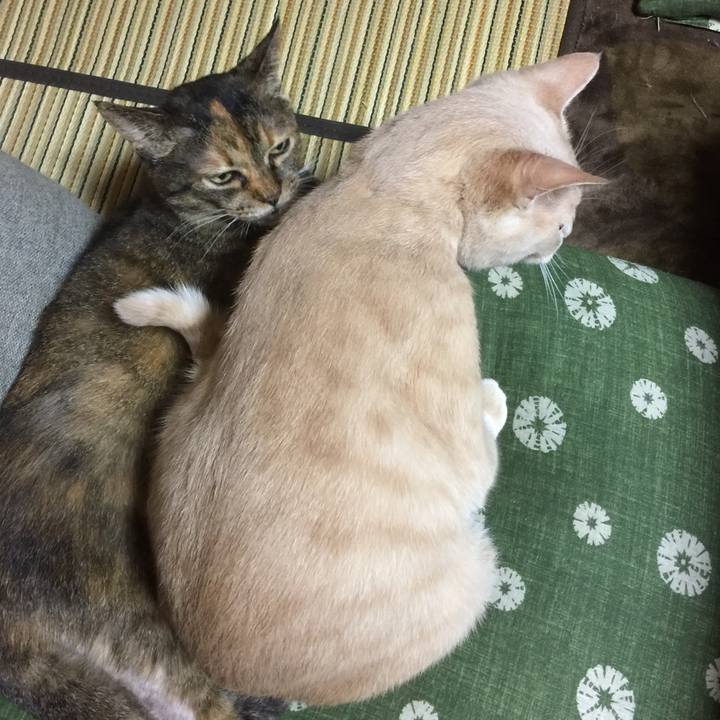 30bc630a e753 4252 8ade a52e805c237d