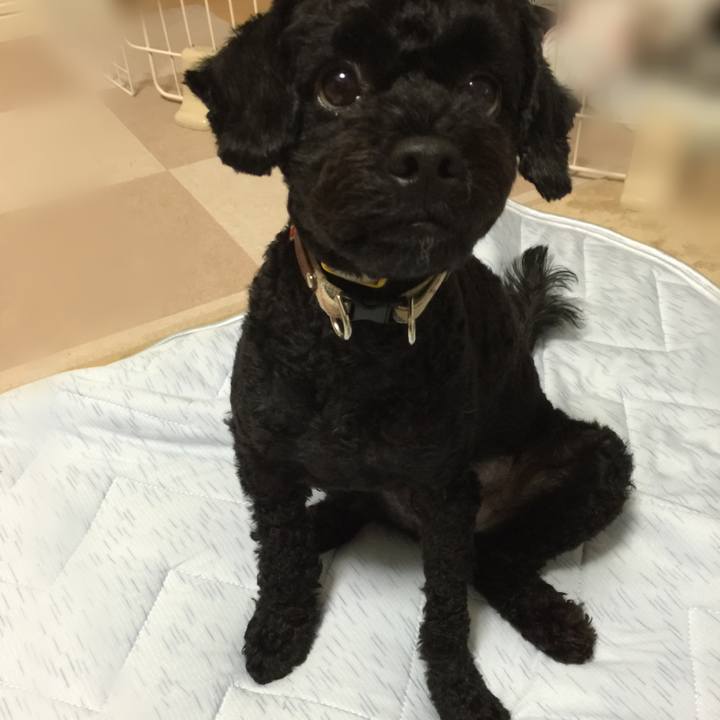 30bc9a38 e0ad 4b62 84d7 4e63427bbfc7