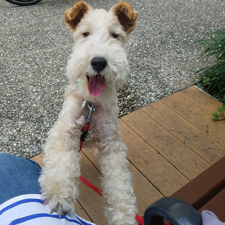 30bca715 534b 43dc bd51 63291614b4bd