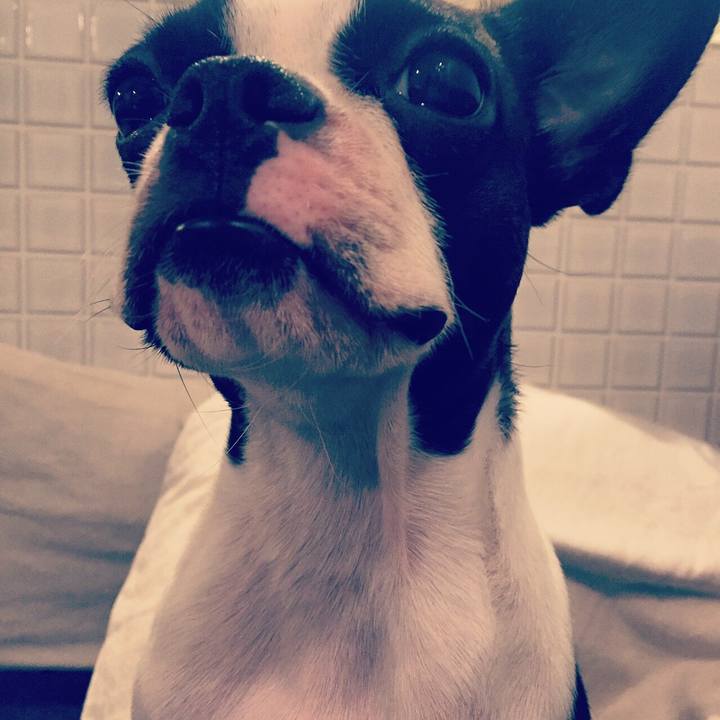 30bcecd0 00b9 4871 b71e 95bf39abf2df