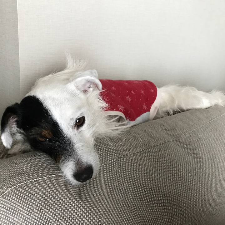 30bd1549 44be 4567 8ae0 daac58d54035