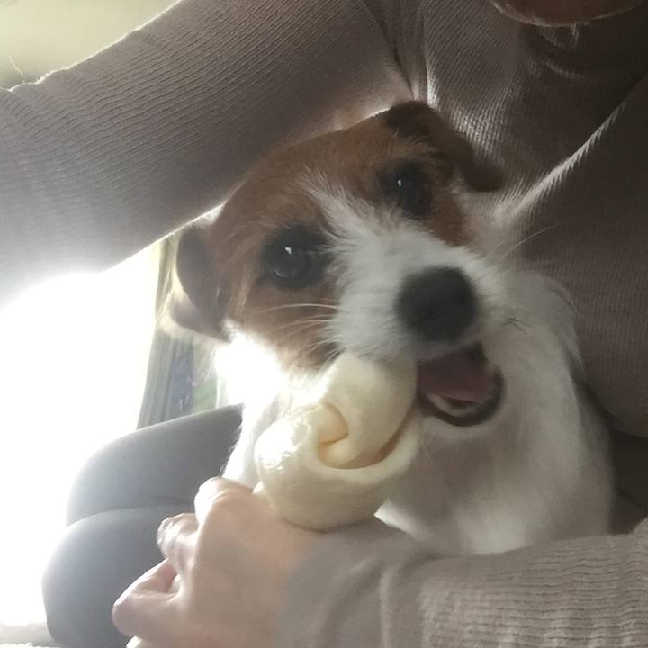 30bd55ee 3888 407d 934b b8e2c5da15ee