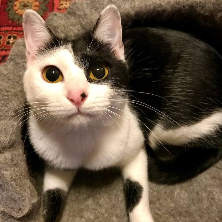 30bd9b14 7bd8 4894 b751 c51b9f6fe9fe