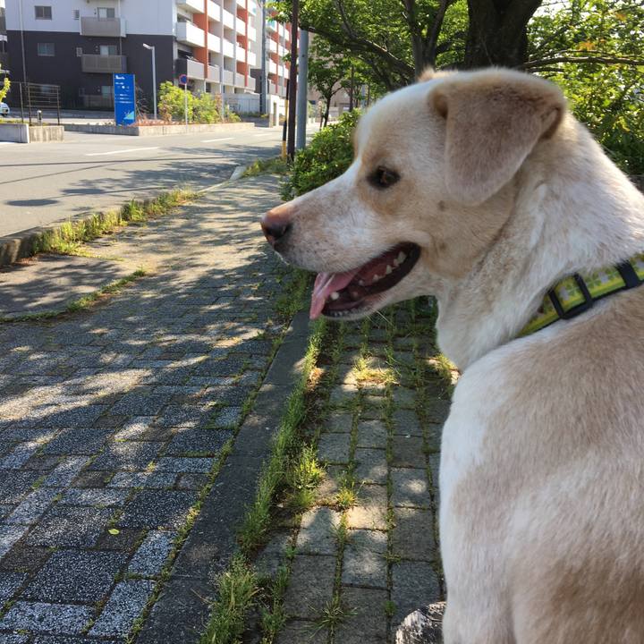 30bde945 a2e6 44d3 8280 1a5fbb90d73d