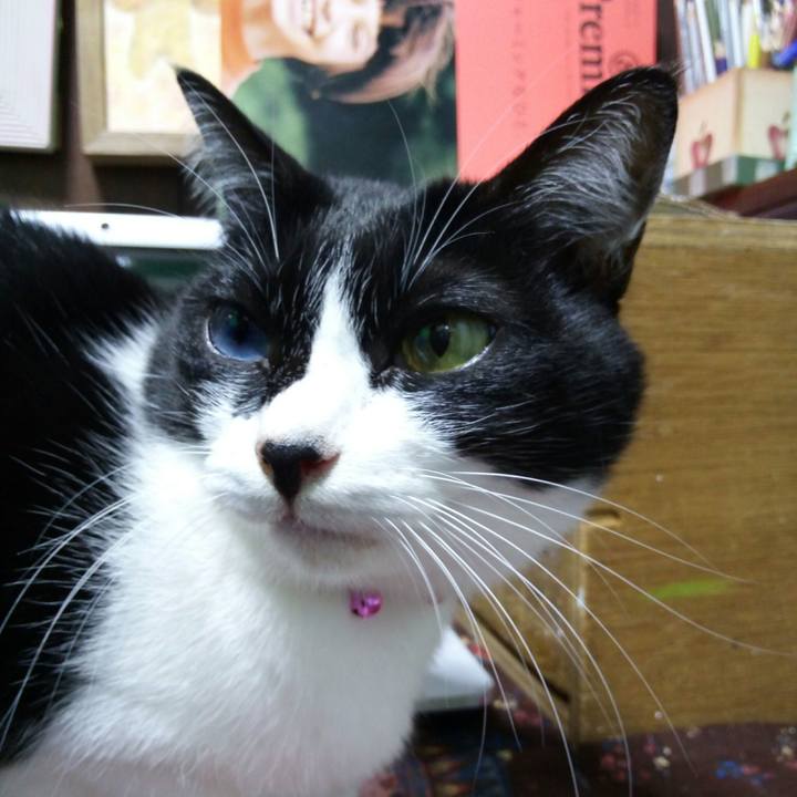 30bea248 afe4 462b 87f9 e240d6d22ad7