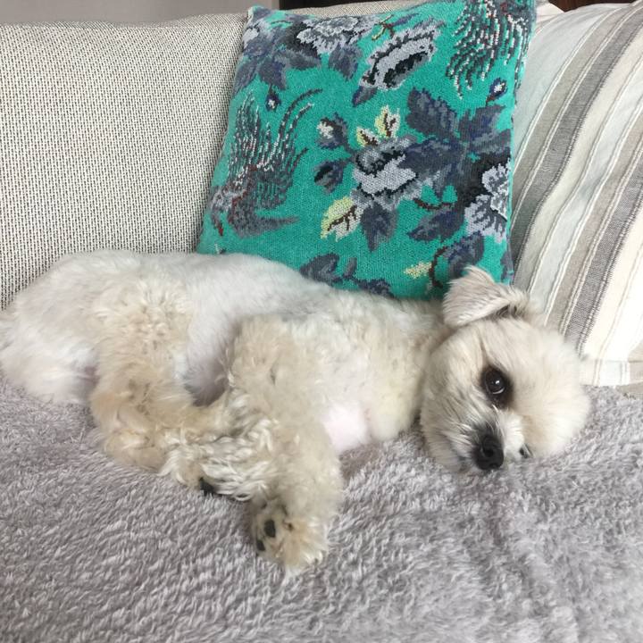 30becb47 dfc9 4938 b71d cf192bed409c