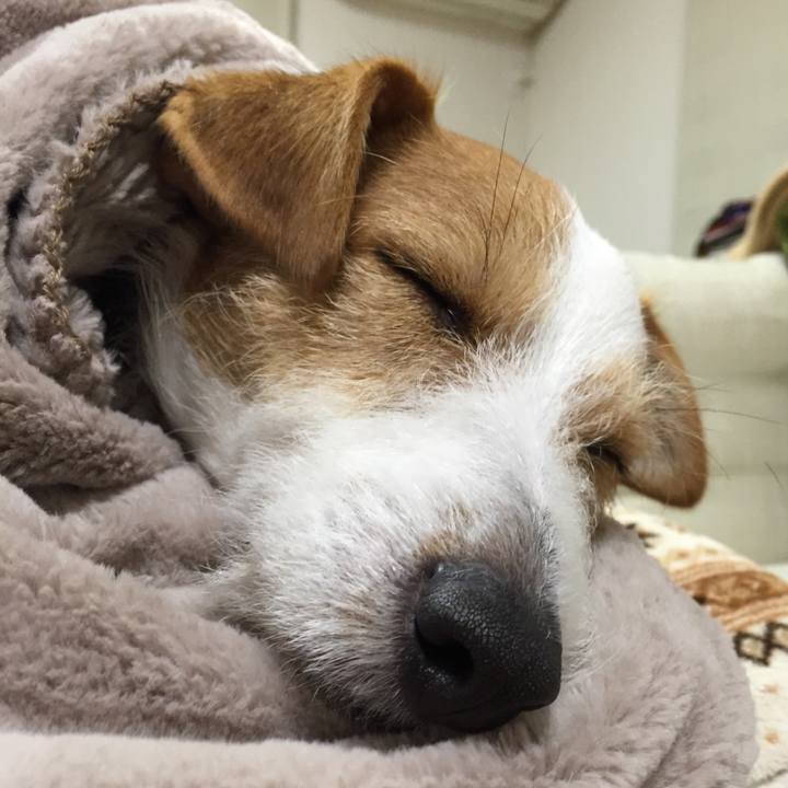 30bed747 9aa5 475e b437 6098c0e17176